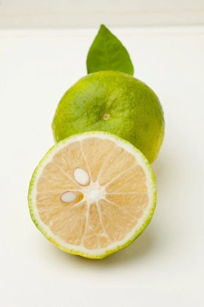 Naoshichi Frucht