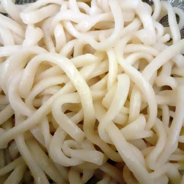 Udon gekocht