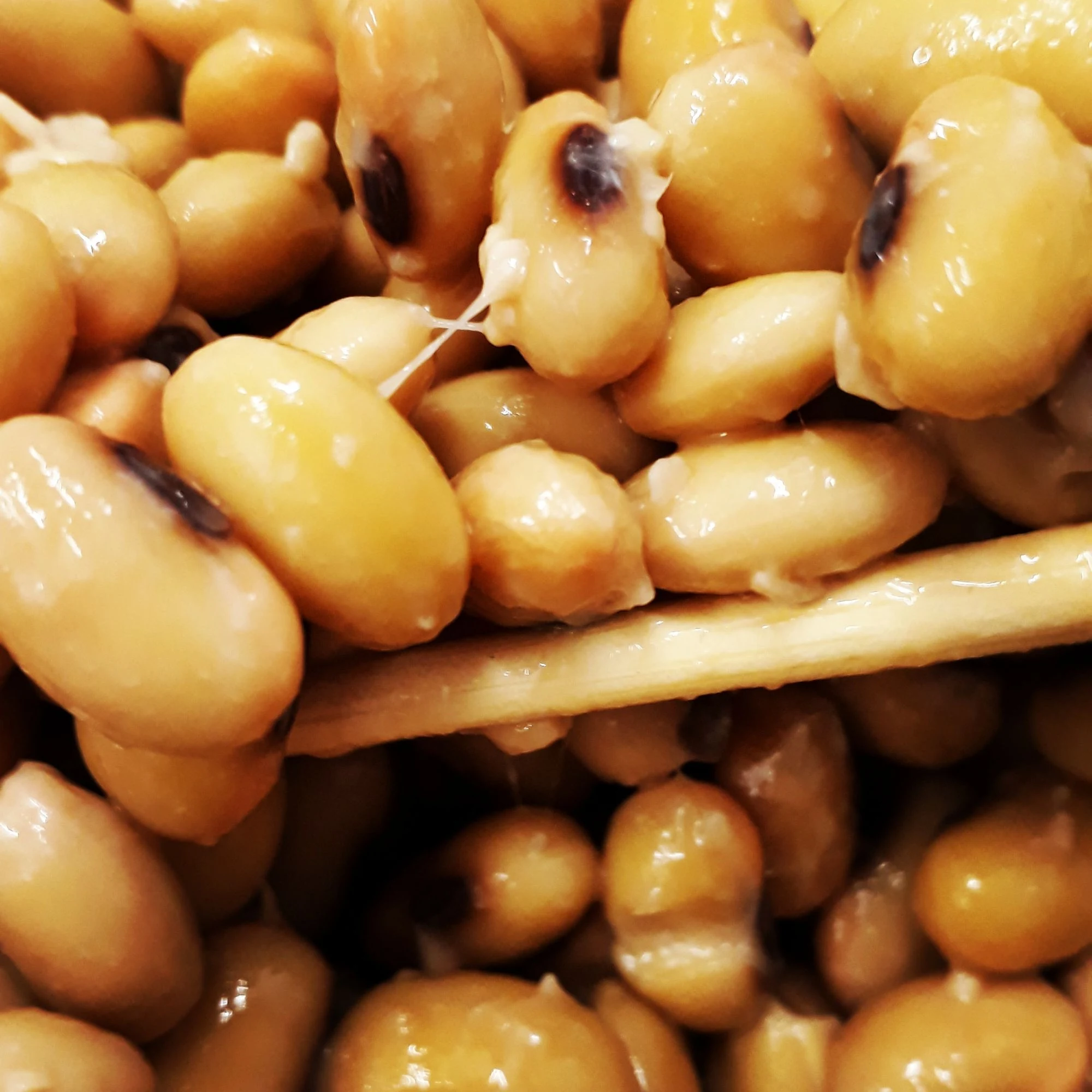 Natto 