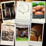 Japanmarkt Berlin @ Festsaal Kreuzberg | Berlin | Berlin | Deutschland